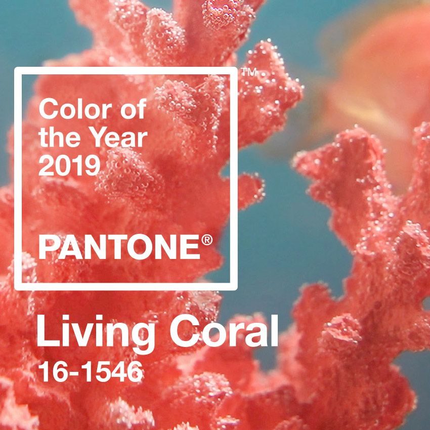 Olson and Baker Pantone-16 Living Coral colour of 2019 Olson and Baker - Designer & Contemporary Sofas, Furniture - Olson and Baker showcases original designs from authentic, designer brands. Buy contemporary furniture, lighting, storage, sofas & chairs at Olson + Baker.