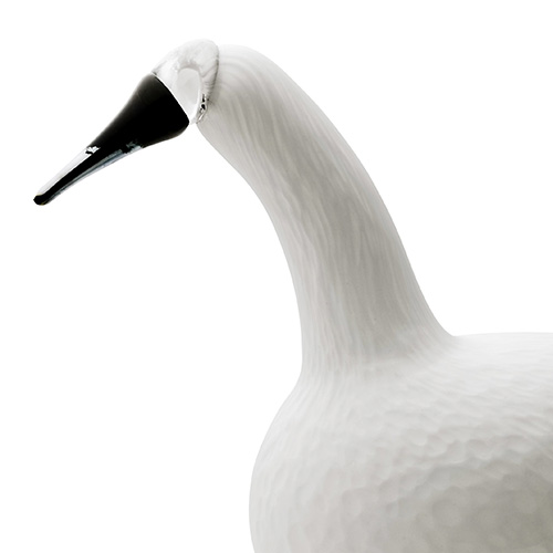 Birds by Toikka 330x210mm Whooper Swan