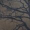 Ethnicraft – Tree Wooden Tray 20404 swatch for Olson and Baker